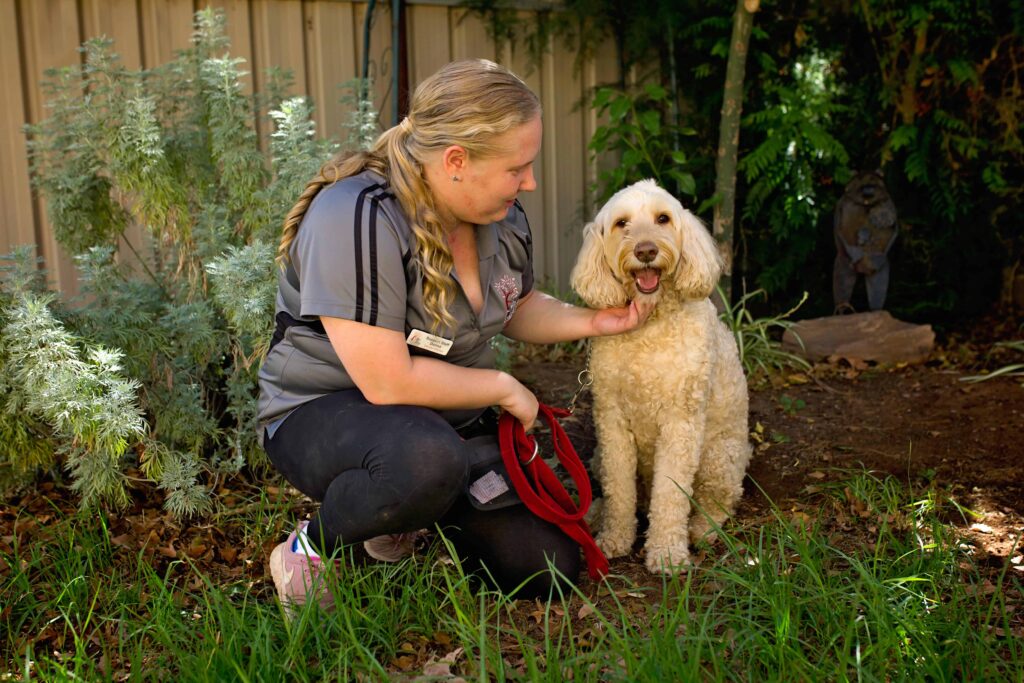 Pet Boarding Port Augusta