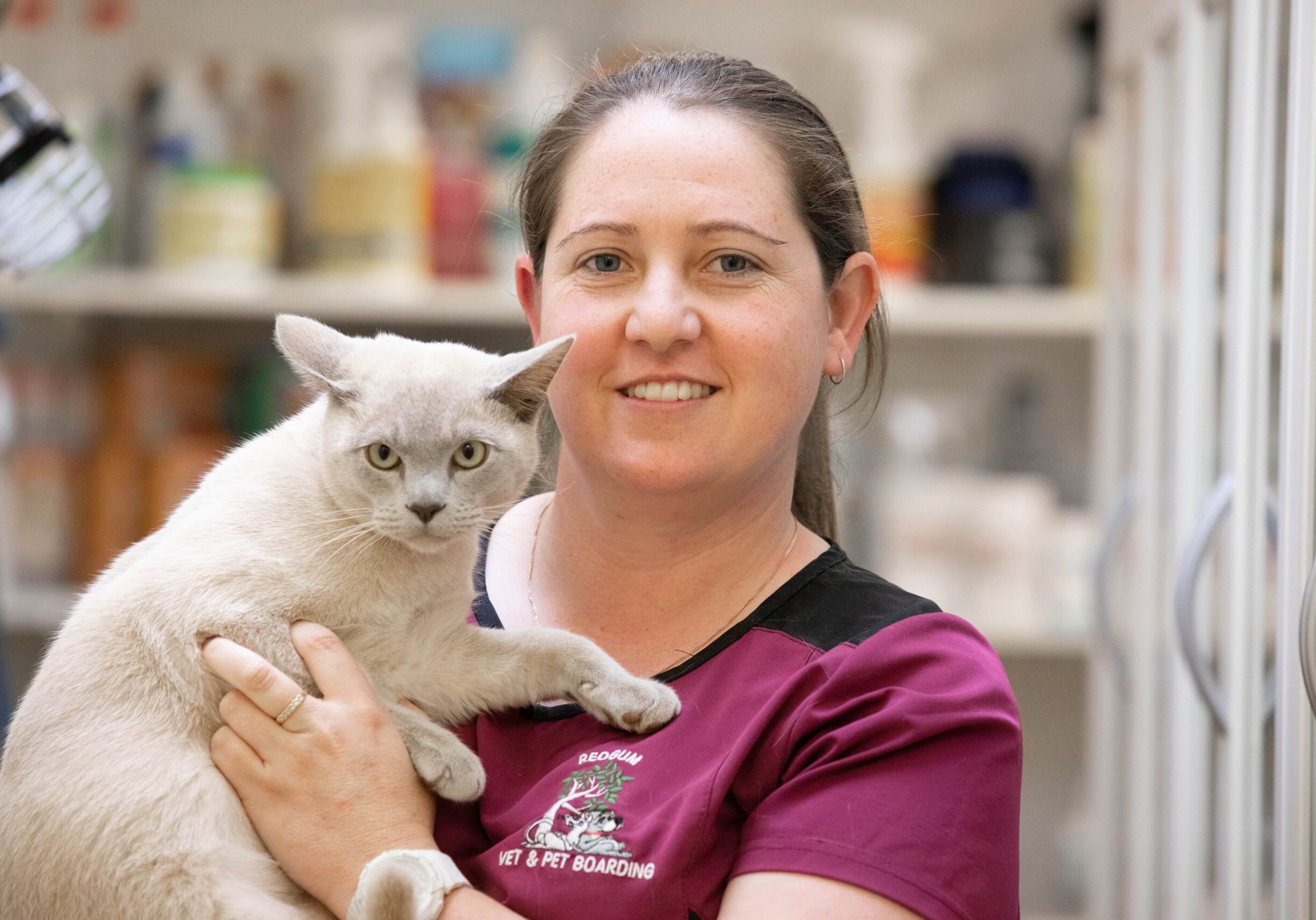 nikki paddy nikki paddy